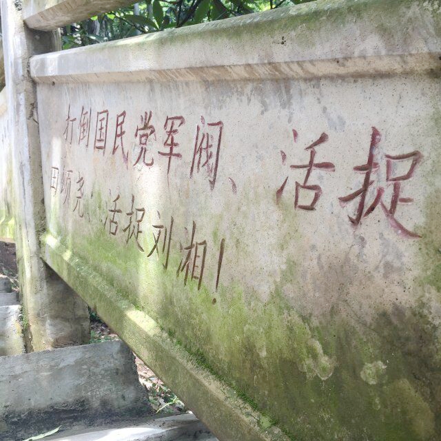 QQ图片20160723103936.jpg